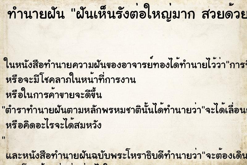 ทำนายฝันทำนายฝันฝันเห็นรังต่อใหญ่มากสวยด้วย